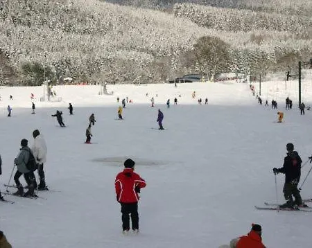 Val De La Cascade 3* Stavelot