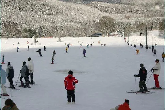Val De La Cascade 3* Stavelot